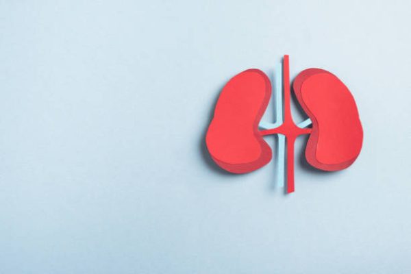 5 Cara Mengidentifikasi dan Menghindari Penyakit Ginjal 5 Cara Mengidentifikasi dan Menghindari Penyakit Ginjal