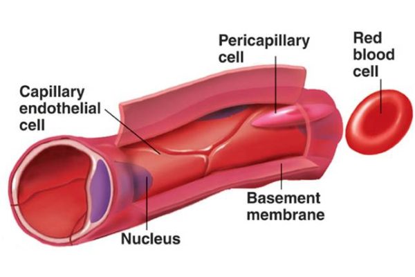 Capillary Health