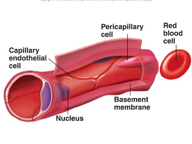 Capillary Health