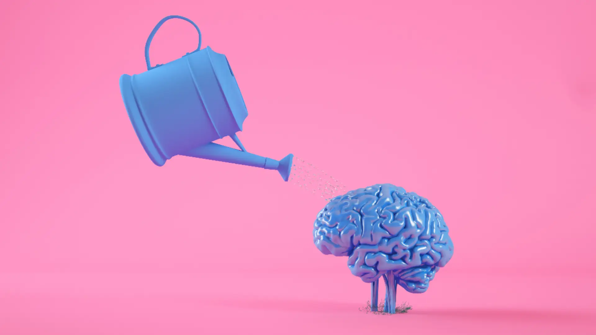 7 Kebiasaan yang Bisa Meningkatkan Neuroplastisitas Otak